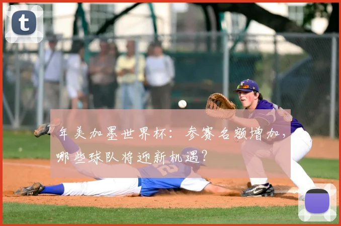 年美加墨世界杯：参赛名额增加，哪些球队将迎新机遇？