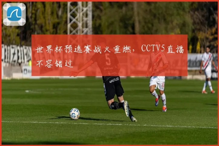 世界杯预选赛战火重燃，CCTV5直播不容错过