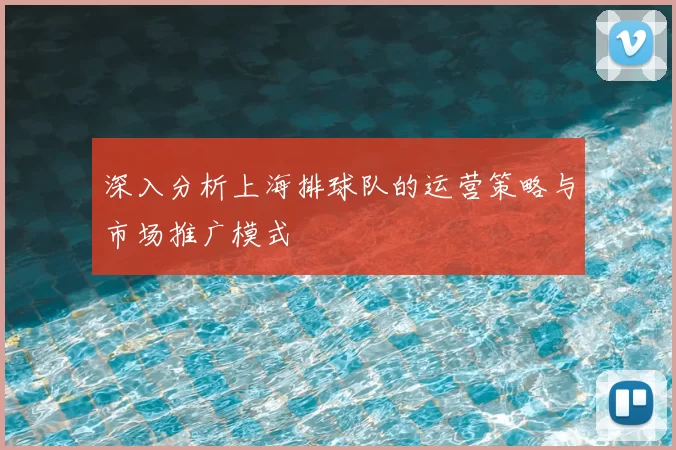 深入分析上海排球队的运营策略与市场推广模式