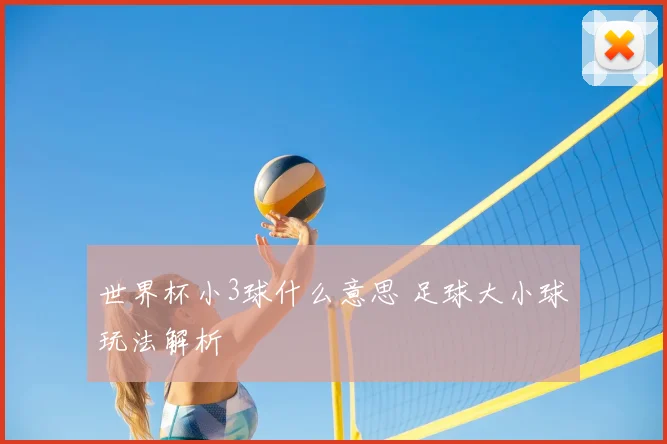 世界杯小3球什么意思 足球大小球玩法解析