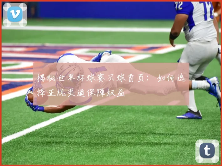 揭秘世界杯球赛买球首页：如何选择正规渠道保障权益