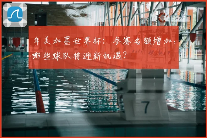 年美加墨世界杯：参赛名额增加，哪些球队将迎新机遇？