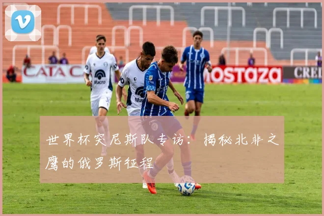 世界杯突尼斯队专访:揭秘北非之鹰的俄罗斯征程