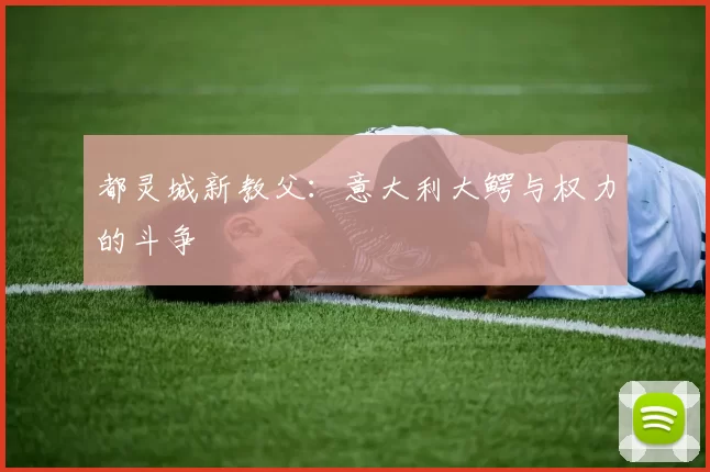 都灵城新教父：意大利大鳄与权力的斗争