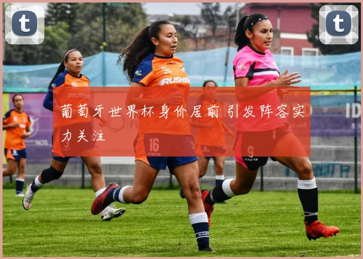 葡萄牙世界杯身价居前 引发阵容实力关注